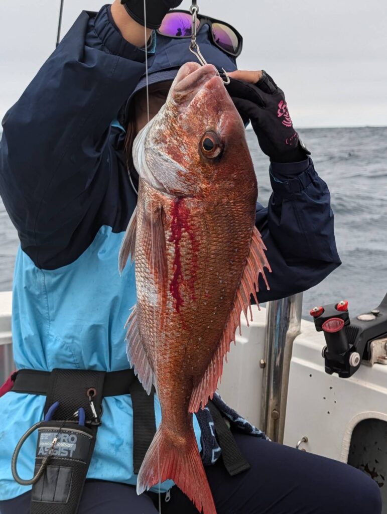 2026年8月31日 鹿島港 横ちゃん丸 ヒラメ・アジ船 釣果|ヒラメよしこちゃん:1 写真5